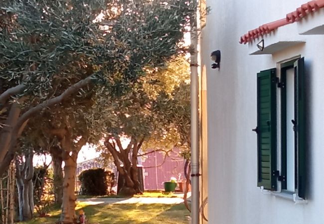 Apartment in Rab - Apartment in Rab with Seaview, Balcony, WIFI, Washing machine (3728-1) Apartment in Rab - Apartment in Rab with Seaview, Balcony, WIFI, Washing machine (3728-1)