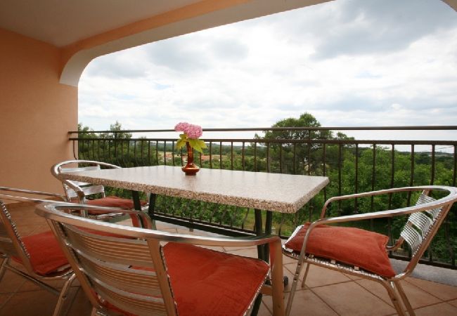 Apartment in Porec - Apartment in Poreč with Balcony, Air condition, WIFI (3794-4) Apartment in Porec - Apartment in Poreč with Balcony, Air condition, WIFI (3794-4)