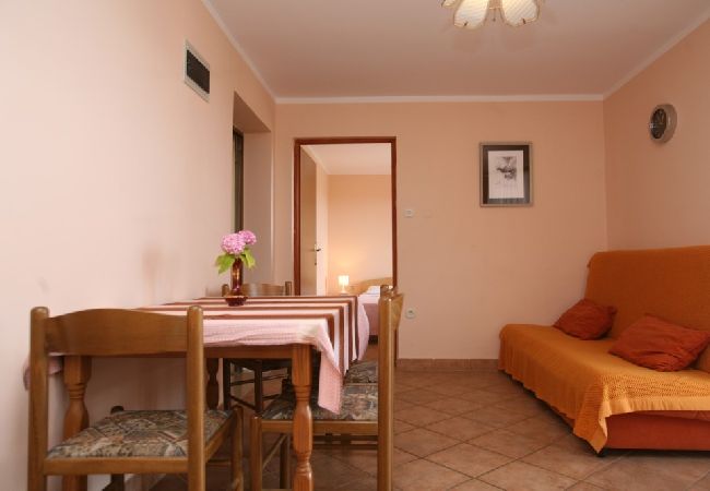 Apartment in Porec - Apartment in Poreč with Balcony, Air condition, WIFI (3794-4) Apartment in Porec - Apartment in Poreč with Balcony, Air condition, WIFI (3794-4)