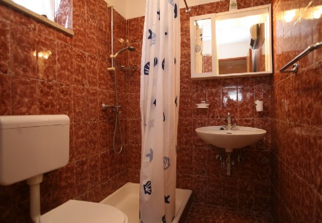 Apartment in Porec - Apartment in Poreč with Balcony, Air condition, WIFI (3794-4) Apartment in Porec - Apartment in Poreč with Balcony, Air condition, WIFI (3794-4)