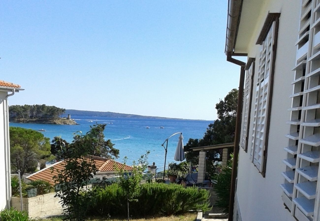 Apartment in Banjol - Apartment in Banjol with Seaview, Terrace, Air condition, WIFI (3803-1)