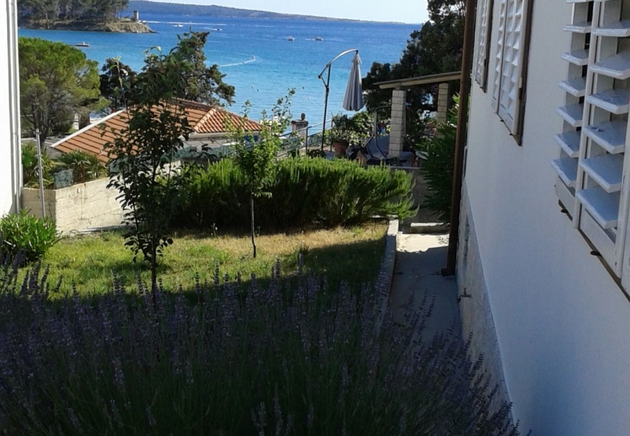 Apartment in Banjol - Apartment in Banjol with Seaview, Terrace, Air condition, WIFI (3803-1)