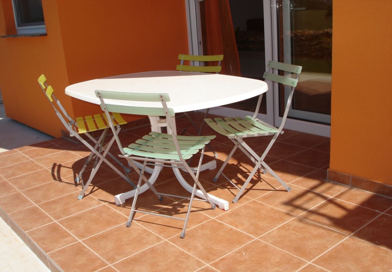 Studio in Nin - Studio apartment in Zaton (Zadar) with Balcony, Air condition, WIFI, Washing machine (3796-6)