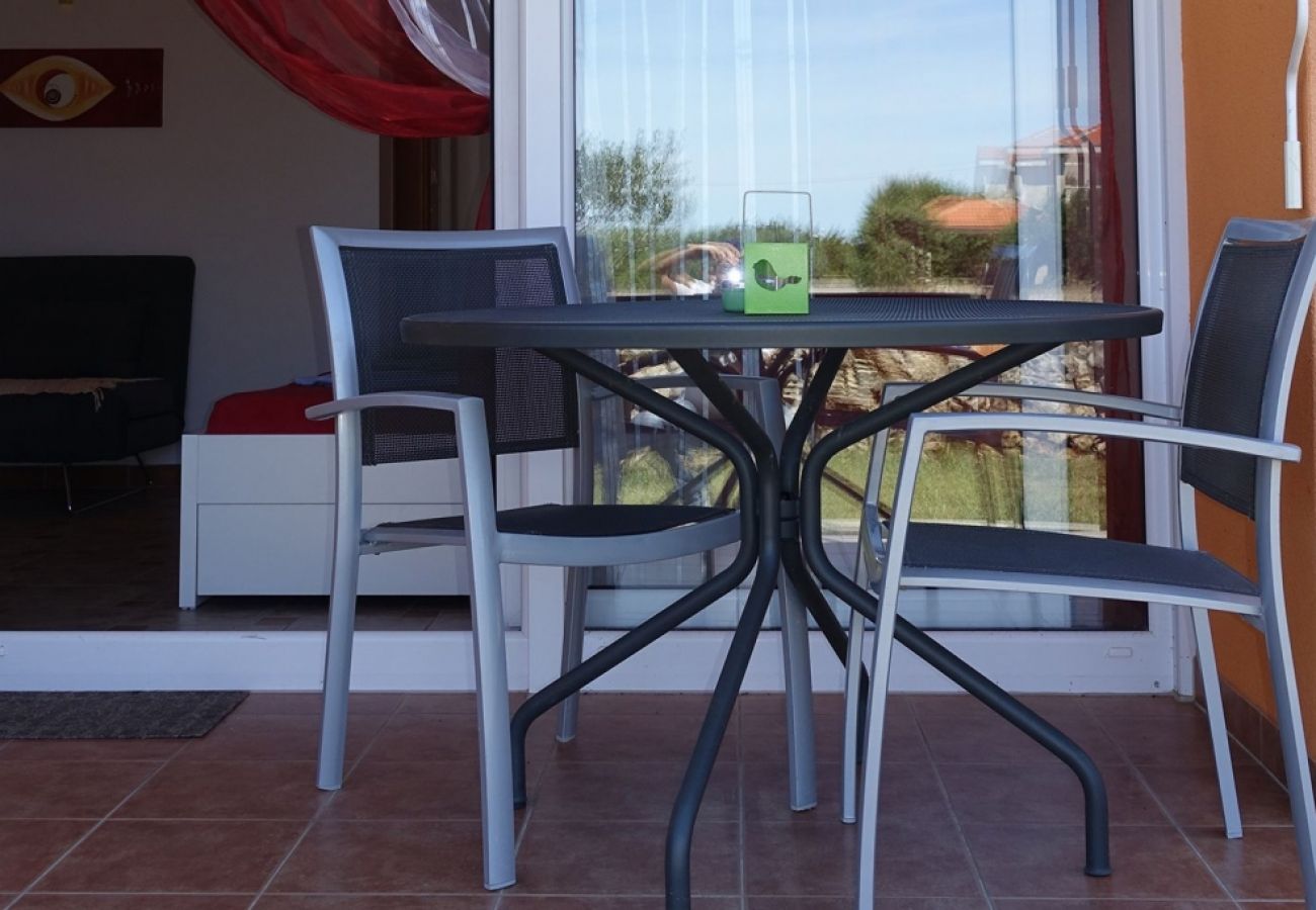 Studio in Nin - Studio apartment in Zaton (Zadar) with Balcony, Air condition, WIFI, Washing machine (3796-6)