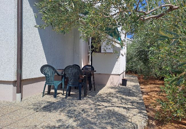 Apartment in Punat - Apartment in Punat with Terrace, Air condition, WIFI, Washing machine (3829-2) Apartment in Punat - Apartment in Punat with Terrace, Air condition, WIFI, Washing machine (3829-2)