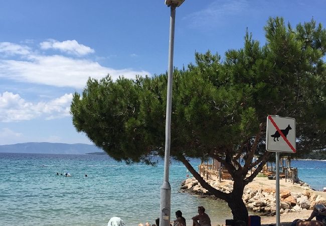Apartment in Punat - Apartment in Punat with Terrace, Air condition, WIFI, Washing machine (3829-2) Apartment in Punat - Apartment in Punat with Terrace, Air condition, WIFI, Washing machine (3829-2)