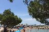 Apartment in Punat - Apartment in Punat with Terrace, Air condition, WIFI, Washing machine (3829-2) Apartment in Punat - Apartment in Punat with Terrace, Air condition, WIFI, Washing machine (3829-2)