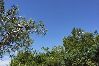 Apartment in Punat - Apartment in Punat with Terrace, Air condition, WIFI, Washing machine (3829-3) Apartment in Punat - Apartment in Punat with Terrace, Air condition, WIFI, Washing machine (3829-3)