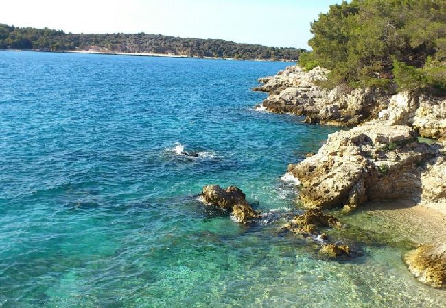 Apartment in Štinjan - Apartment in Štinjan with Seaview, Balcony, Air condition, WIFI (3326-5) Apartment in Štinjan - Apartment in Štinjan with Seaview, Balcony, Air condition, WIFI (3326-5)