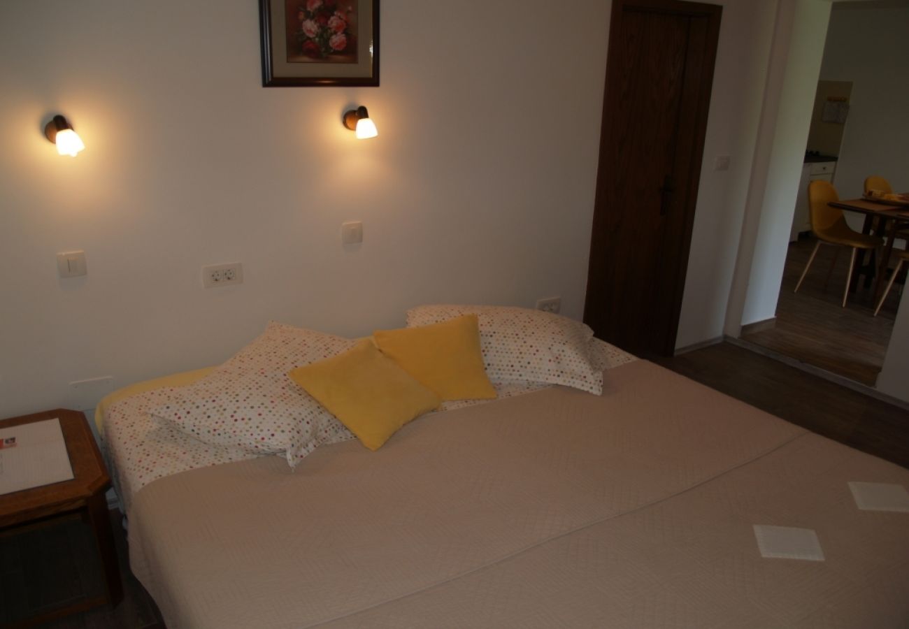 Apartment in Roc - Apartment in Roč with Terrace, Air condition, WIFI, Washing machine (4194-2)