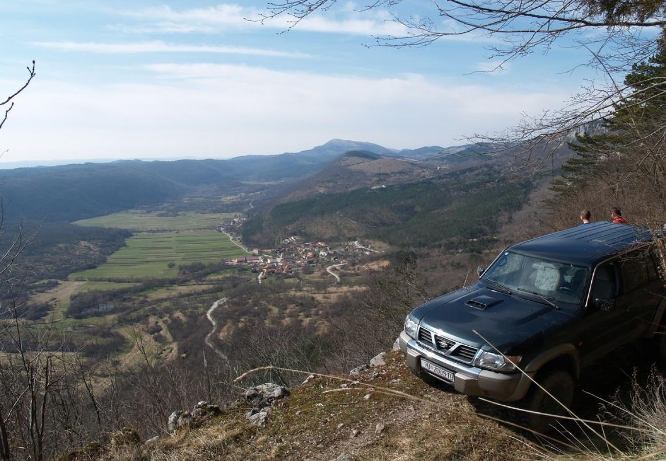 Apartment in Roc - Apartment in Roč with Terrace, Air condition, WIFI, Washing machine (4194-2)