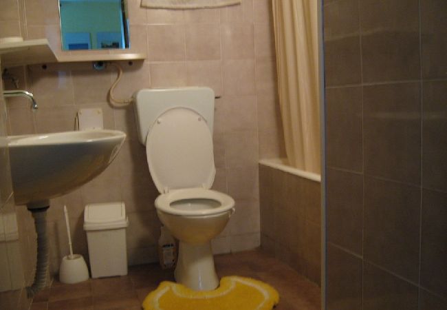 Studio in Novi Vinodolski - Studio apartment in Novi Vinodolski with Terrace, Air condition, WIFI (4208-1) Studio in Novi Vinodolski - Studio apartment in Novi Vinodolski with Terrace, Air condition, WIFI (4208-1)