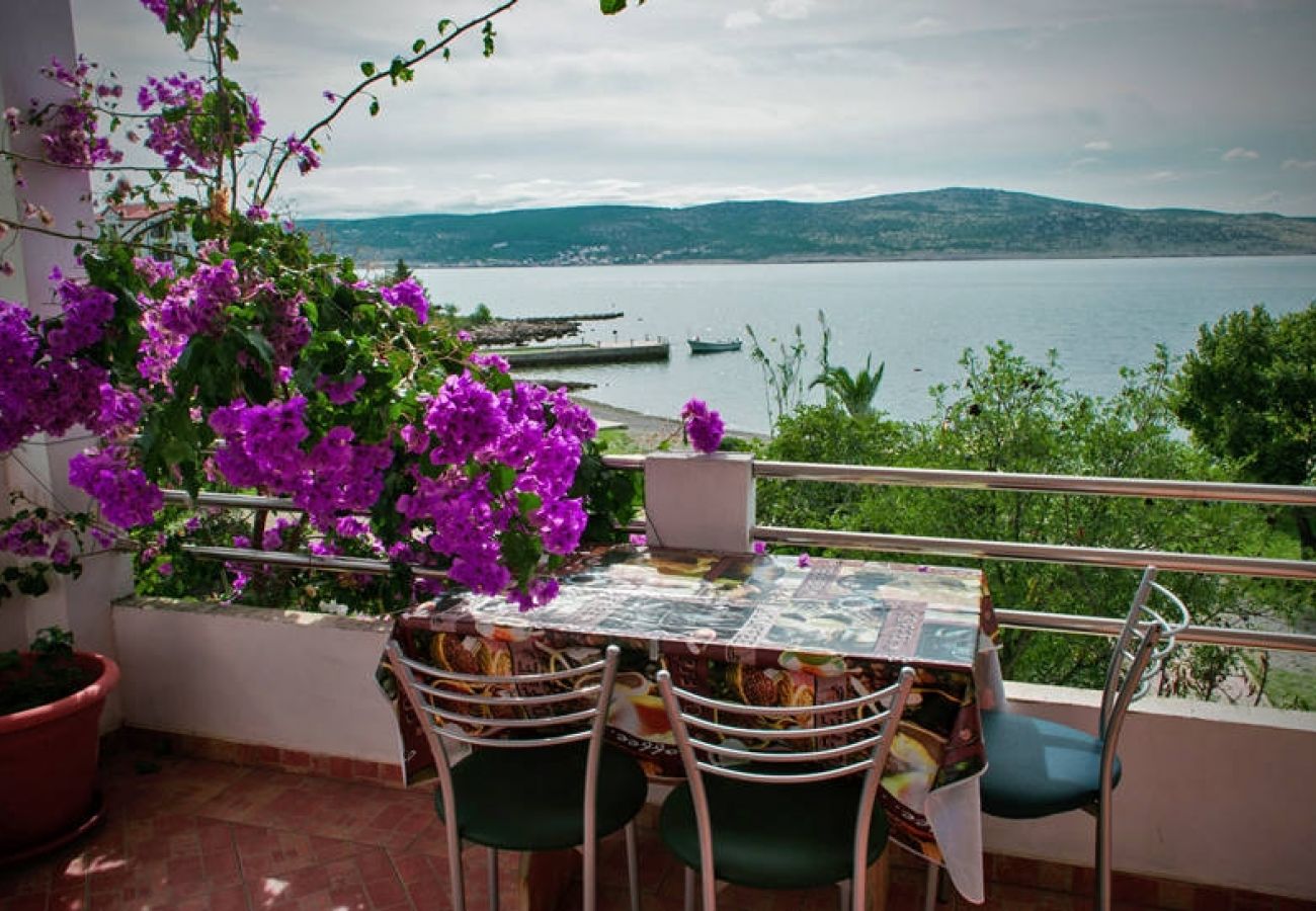 Apartment in Seline - Apartment in Seline with Seaview, Terrace, WIFI, Washing machine (4209-2)