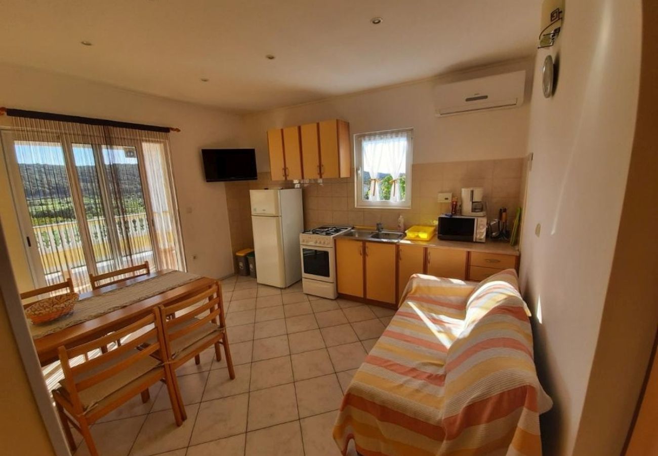 Apartment in Kampor - Apartment in Kampor with Terrace, Air condition, WIFI (4235-3)
