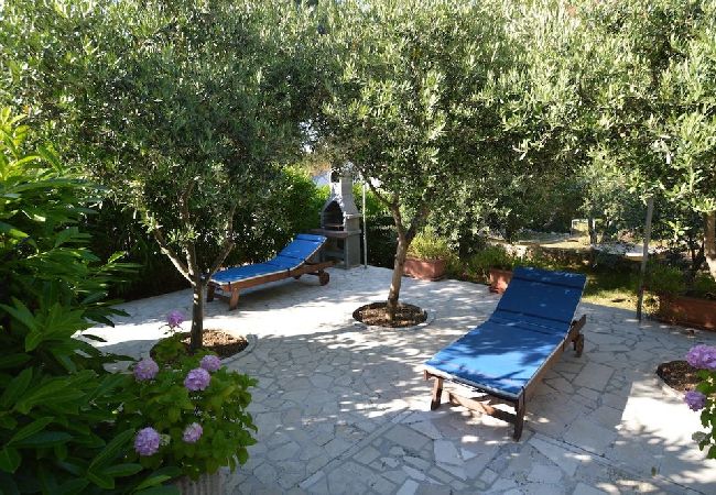 Apartment in Mali Lošinj - Apartment in Mali Lošinj with Terrace, Air condition, WIFI, Washing machine (4241-2) Apartment in Mali Lošinj - Apartment in Mali Lošinj with Terrace, Air condition, WIFI, Washing machine (4241-2)