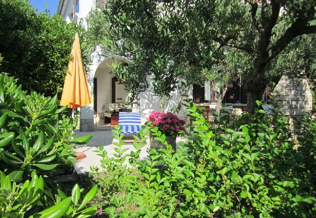 Apartment in Mali Lošinj - Apartment in Mali Lošinj with Terrace, Air condition, WIFI, Washing machine (4241-3) Apartment in Mali Lošinj - Apartment in Mali Lošinj with Terrace, Air condition, WIFI, Washing machine (4241-3)