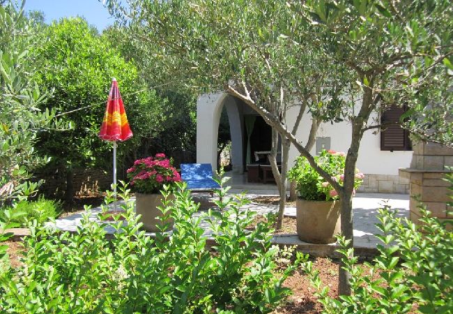 Apartment in Mali Lošinj - Apartment in Mali Lošinj with Terrace, Air condition, WIFI, Washing machine (4241-3) Apartment in Mali Lošinj - Apartment in Mali Lošinj with Terrace, Air condition, WIFI, Washing machine (4241-3)