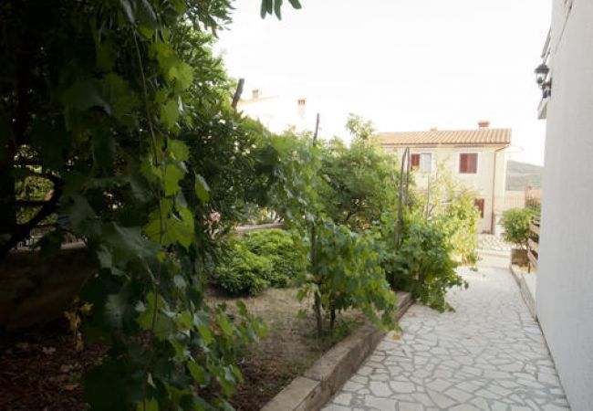 Apartment in Cres - Apartment in Cres with Balcony, Air condition, WIFI, Washing machine (4249-2) Apartment in Cres - Apartment in Cres with Balcony, Air condition, WIFI, Washing machine (4249-2)