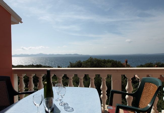 Apartment in Kožino - Apartment in Kožino with Seaview, Balcony, Air condition, WIFI (4262-1) Apartment in Kožino - Apartment in Kožino with Seaview, Balcony, Air condition, WIFI (4262-1)