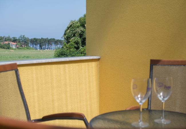 Apartment in Savudrija - Apartment in Savudrija with Balcony, Air condition, WIFI, Dishwasher (4264-2) Apartment in Savudrija - Apartment in Savudrija with Balcony, Air condition, WIFI, Dishwasher (4264-2)