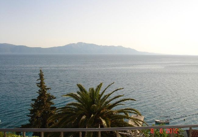 Studio in Brist - Studio apartment in Brist with Seaview, Balcony, Air condition, WIFI (4333-1) Studio in Brist - Studio apartment in Brist with Seaview, Balcony, Air condition, WIFI (4333-1)