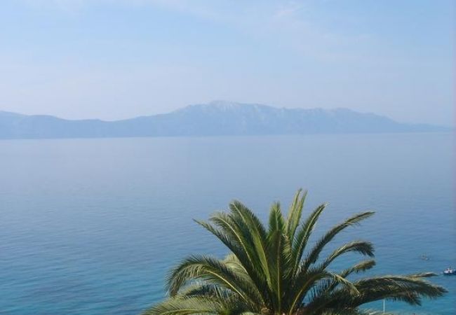 Studio in Brist - Studio apartment in Brist with Seaview, Balcony, Air condition, WIFI (4333-1) Studio in Brist - Studio apartment in Brist with Seaview, Balcony, Air condition, WIFI (4333-1)