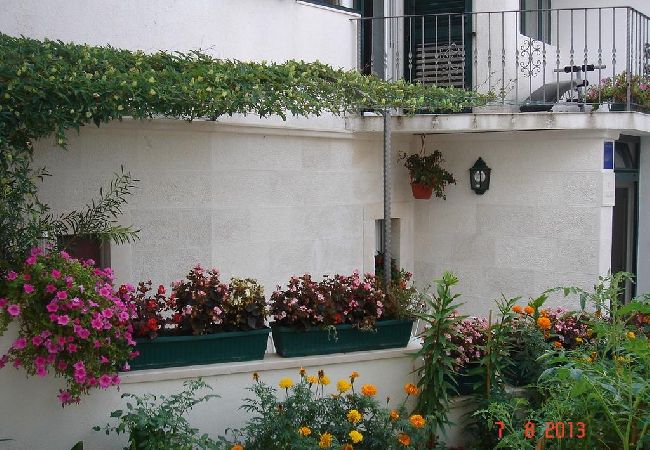 Studio in Brist - Studio apartment in Brist with Seaview, Balcony, Air condition, WIFI (4333-1) Studio in Brist - Studio apartment in Brist with Seaview, Balcony, Air condition, WIFI (4333-1)