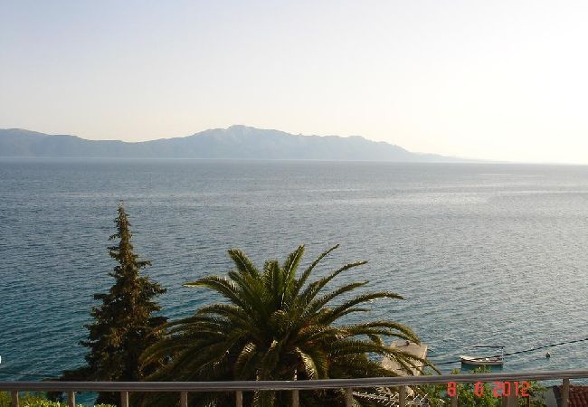 Studio in Brist - Studio apartment in Brist with Seaview, Balcony, Air condition, WIFI (4333-1) Studio in Brist - Studio apartment in Brist with Seaview, Balcony, Air condition, WIFI (4333-1)