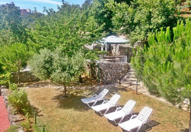 Studio in Mošcenicka Draga - Studio apartment in Mošćenička Draga with Seaview, Terrace, Air condition, WIFI (4364-1) Studio in Mošcenicka Draga - Studio apartment in Mošćenička Draga with Seaview, Terrace, Air condition, WIFI (4364-1)