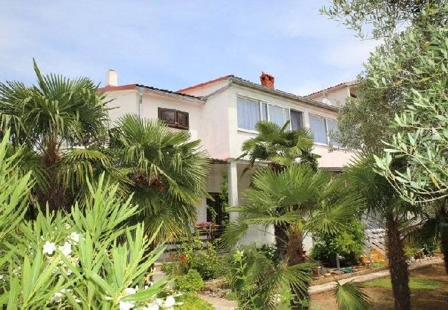 Vodice - Apartment