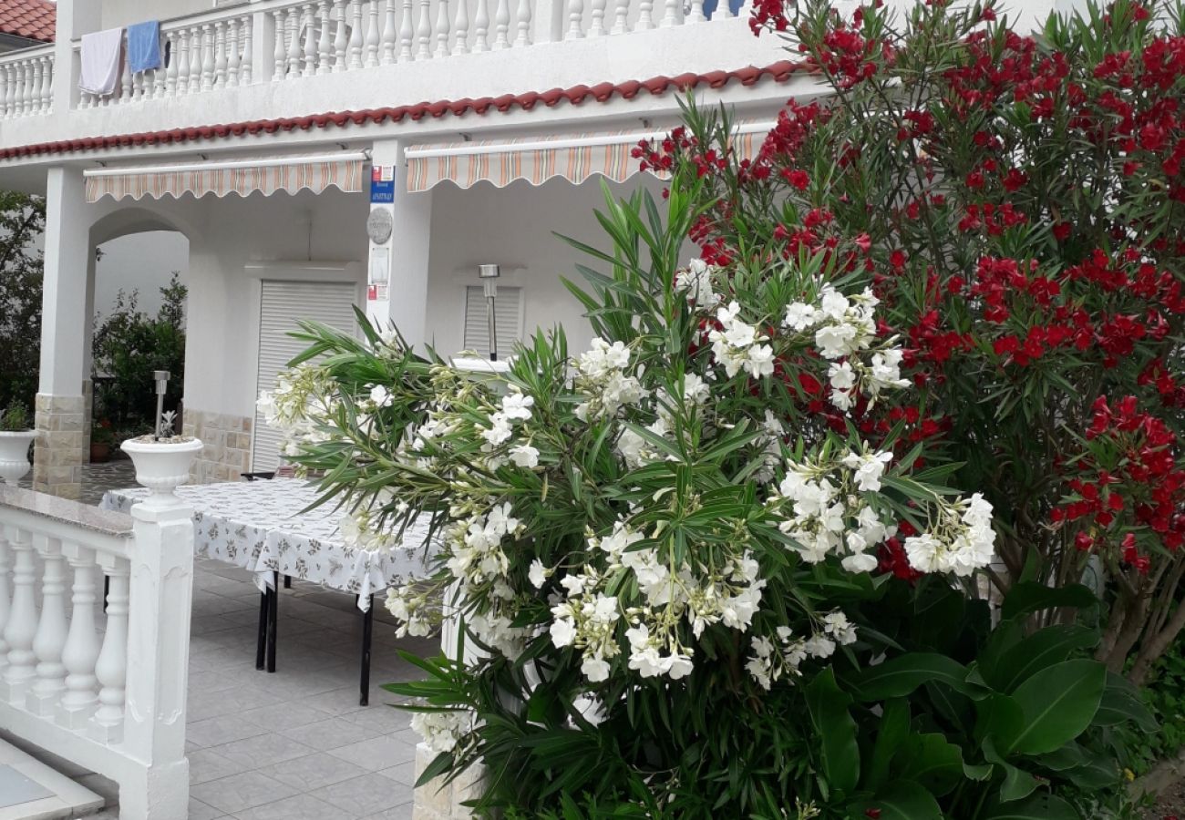 Apartment in Palit - Apartment in Palit with Terrace, Air condition, WIFI, Washing machine (4386-1)