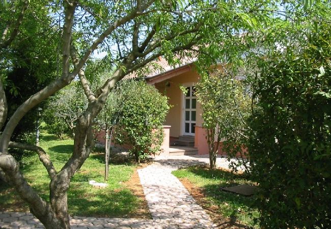 House in Porec - Holiday Home in Poreč with Terrace, Air condition, WIFI, Dishwasher (4400-4) House in Porec - Holiday Home in Poreč with Terrace, Air condition, WIFI, Dishwasher (4400-4)