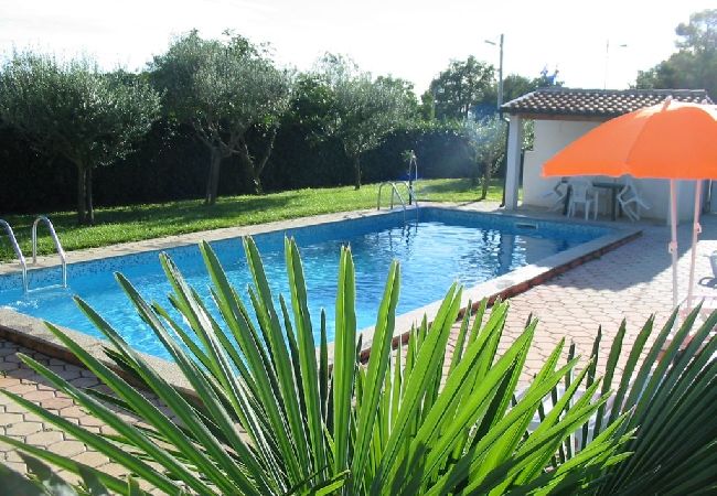 House in Porec - Holiday Home in Poreč with Terrace, Air condition, WIFI, Dishwasher (4400-4) House in Porec - Holiday Home in Poreč with Terrace, Air condition, WIFI, Dishwasher (4400-4)