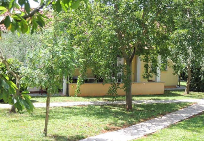House in Porec - Holiday Home in Poreč with Terrace, Air condition, WIFI, Dishwasher (4400-4) House in Porec - Holiday Home in Poreč with Terrace, Air condition, WIFI, Dishwasher (4400-4)