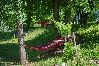 House in Rakovica - Holiday Home in Rakovica with Terrace, WIFI, Washing machine (4488-2) House in Rakovica - Holiday Home in Rakovica with Terrace, WIFI, Washing machine (4488-2)