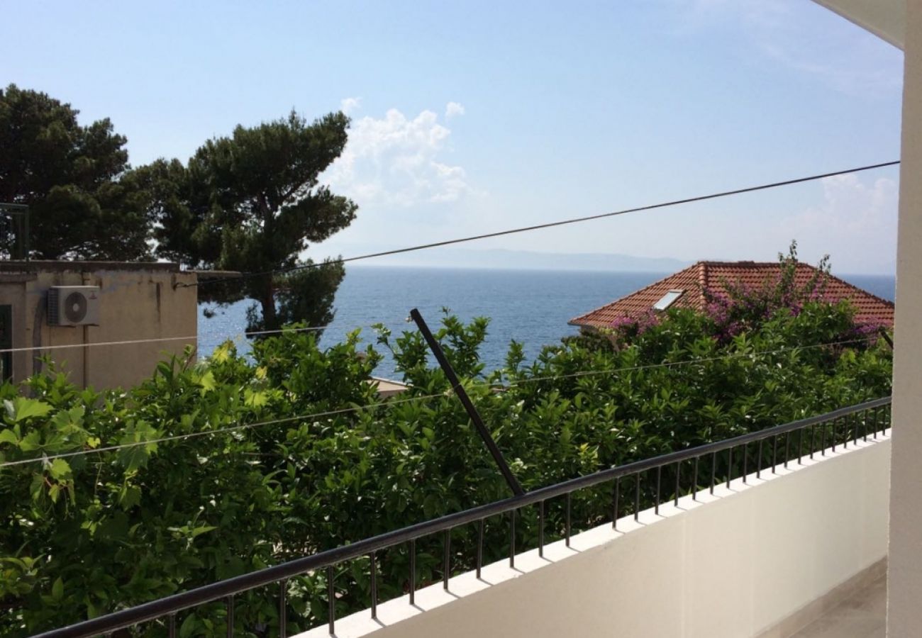 Studio in Podgora - Studio apartment in Podgora with Seaview, Balcony, Air condition, WIFI (4492-4)