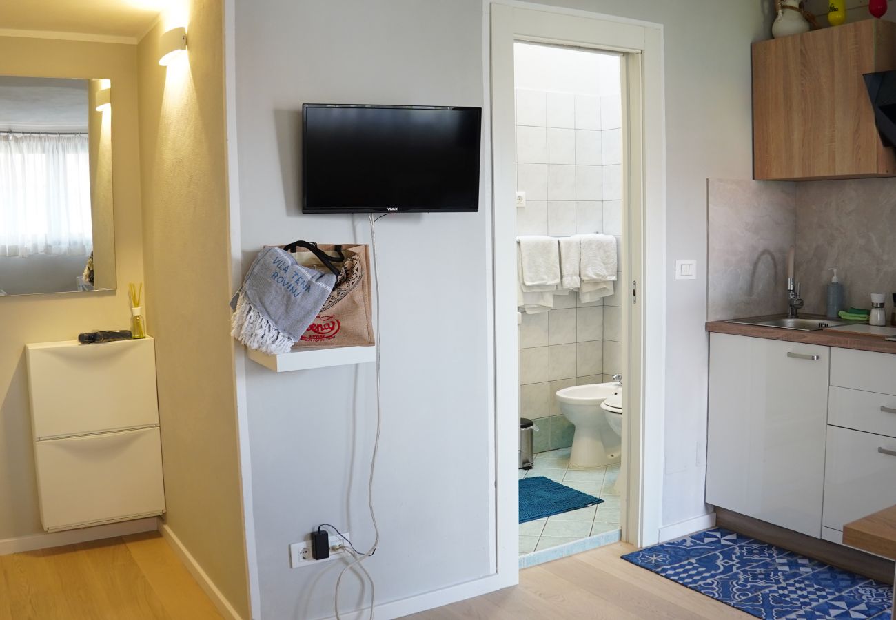 Studio in Rovinj - Studio apartment in Rovinj with Terrace, Air condition, WIFI, Washing machine (3652-2)