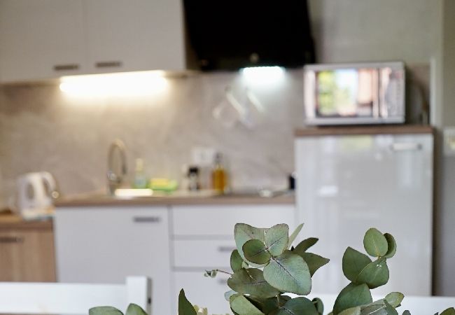 Apartment in Rovinj - Apartment in Rovinj with Terrace, Air condition, WIFI, Washing machine (3652-3) Apartment in Rovinj - Apartment in Rovinj with Terrace, Air condition, WIFI, Washing machine (3652-3)