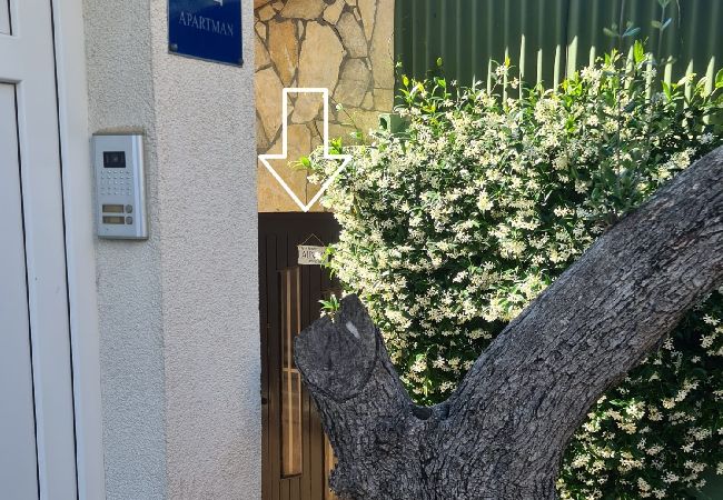 Apartment in Rovinj - Apartment in Rovinj with Terrace, Air condition, WIFI, Washing machine (3652-3) Apartment in Rovinj - Apartment in Rovinj with Terrace, Air condition, WIFI, Washing machine (3652-3)