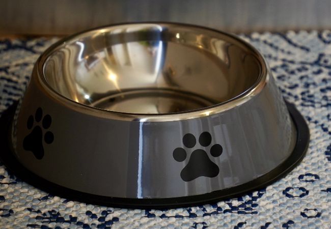 Apartment in Rovinj - Apartment in Rovinj with Terrace, Air condition, WIFI, Washing machine (3652-3) Apartment in Rovinj - Apartment in Rovinj with Terrace, Air condition, WIFI, Washing machine (3652-3)