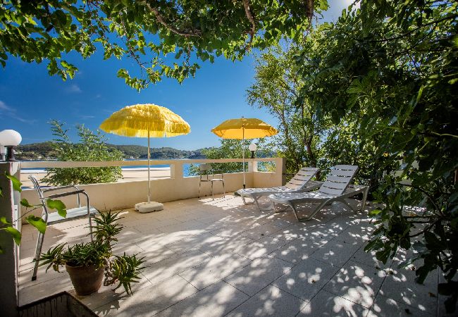 Apartment in Supetarska Draga - Apartment in Supetarska Draga with Seaview, Terrace, Air condition, WIFI (4551-2) Apartment in Supetarska Draga - Apartment in Supetarska Draga with Seaview, Terrace, Air condition, WIFI (4551-2)