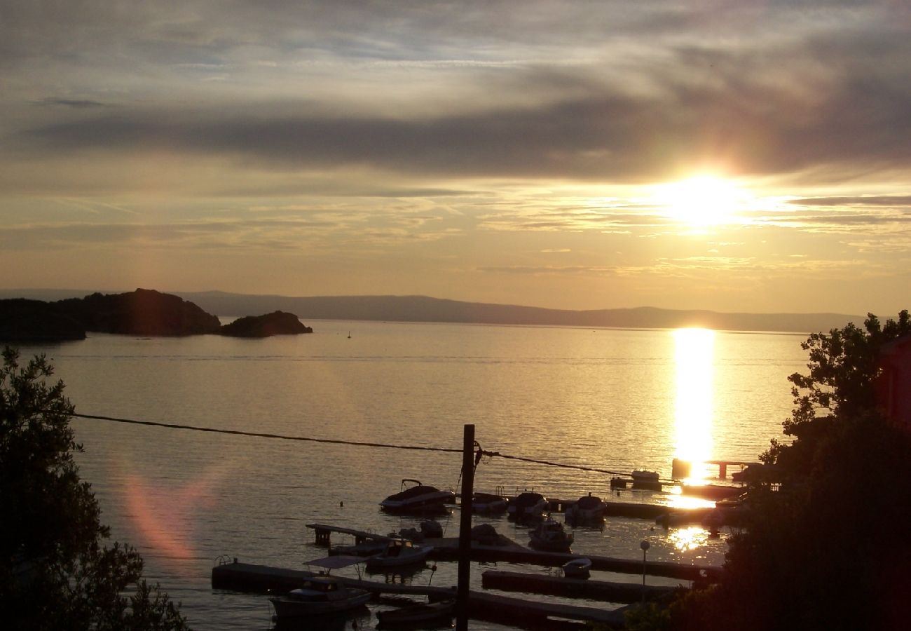 Apartment in Supetarska Draga - Apartment in Supetarska Draga with Seaview, Terrace, Air condition, WIFI (4552-6)