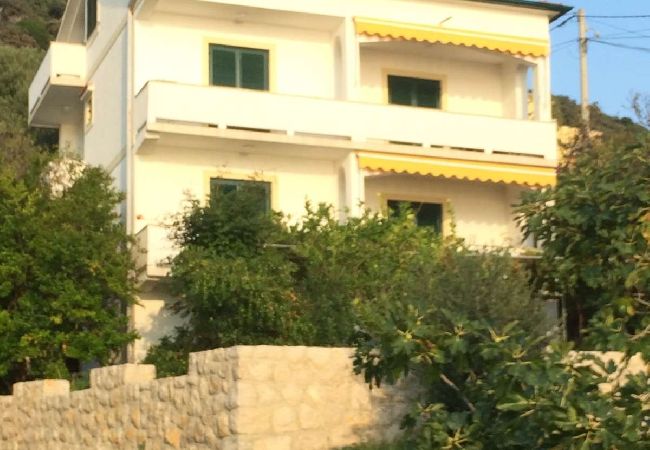 Apartment in Supetarska Draga - Apartment in Supetarska Draga with Seaview, Terrace, Air condition, WIFI (4552-10) Apartment in Supetarska Draga - Apartment in Supetarska Draga with Seaview, Terrace, Air condition, WIFI (4552-10)