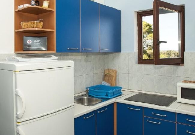 Apartment in Ždrelac - Apartment in Ždrelac with Seaview, Loggia, Air condition, WIFI (4565-1) Apartment in Ždrelac - Apartment in Ždrelac with Seaview, Loggia, Air condition, WIFI (4565-1)