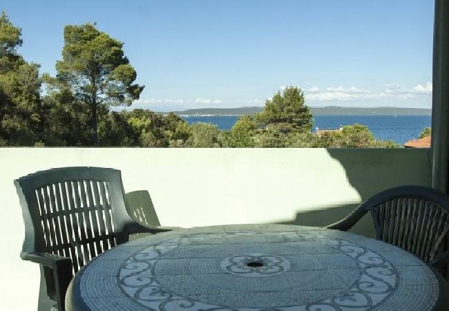 Apartment in Ždrelac - Apartment in Ždrelac with Seaview, Loggia, Air condition, WIFI (4565-1) Apartment in Ždrelac - Apartment in Ždrelac with Seaview, Loggia, Air condition, WIFI (4565-1)