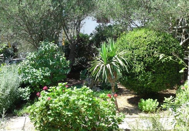 Apartment in Ždrelac - Apartment in Ždrelac with Seaview, Loggia, Air condition, WIFI (4565-1) Apartment in Ždrelac - Apartment in Ždrelac with Seaview, Loggia, Air condition, WIFI (4565-1)