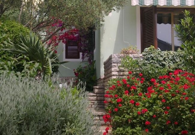 Apartment in Ždrelac - Apartment in Ždrelac with Seaview, Loggia, Air condition, WIFI (4565-1) Apartment in Ždrelac - Apartment in Ždrelac with Seaview, Loggia, Air condition, WIFI (4565-1)