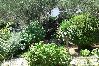 Apartment in Ždrelac - Apartment in Ždrelac with Seaview, Loggia, Air condition, WIFI (4565-2) Apartment in Ždrelac - Apartment in Ždrelac with Seaview, Loggia, Air condition, WIFI (4565-2)