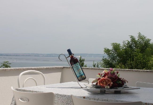 Apartment in Preko - Apartment in Preko with Terrace, Air condition, WIFI, Washing machine (4568-4) Apartment in Preko - Apartment in Preko with Terrace, Air condition, WIFI, Washing machine (4568-4)