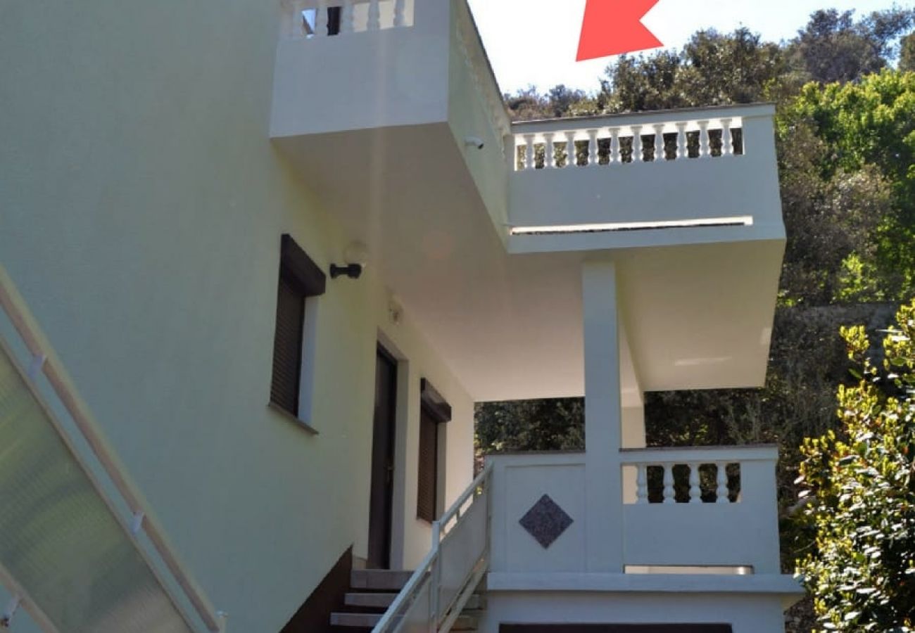 Apartment in Lopar - Apartment in Lopar with Seaview, Terrace, Air condition, WIFI (4607-6)